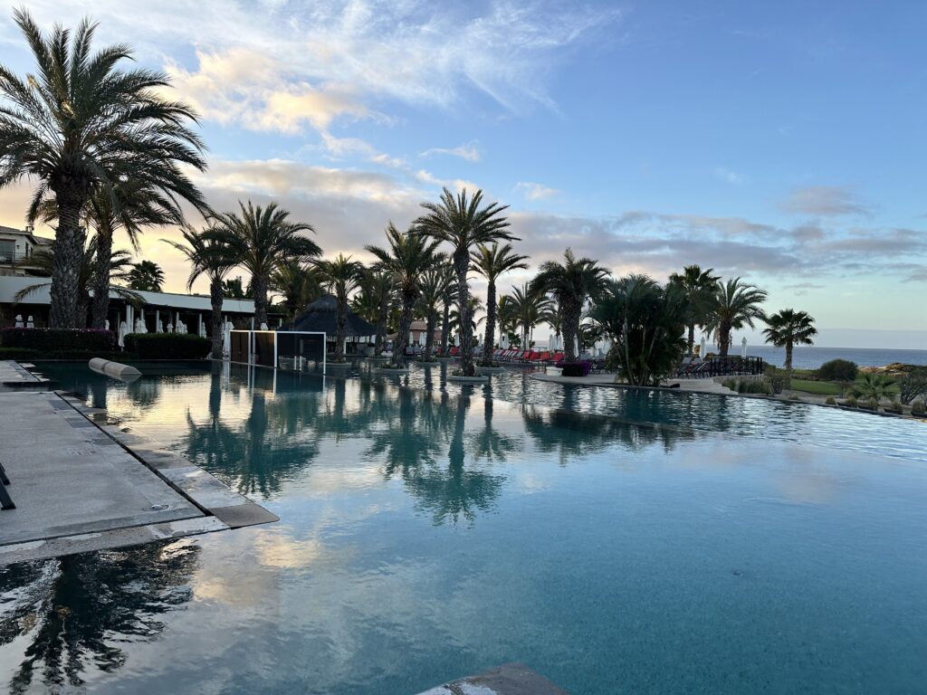palm trees reflecting on the pool